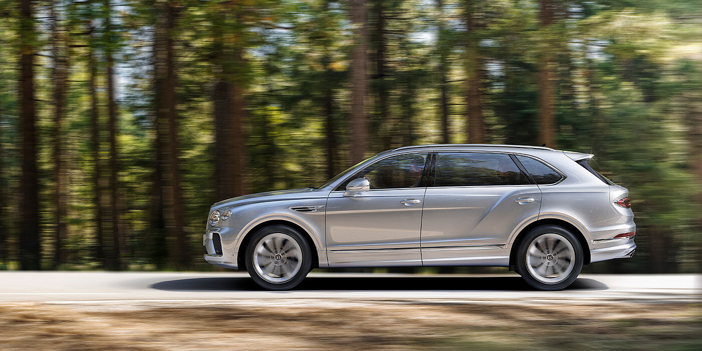 Bentley Brisbane Bentley Bentayga EWB in Moonbeam colour driving through forest.